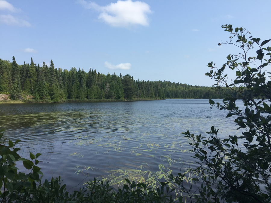 Whale Lake from Eagle Mountain Tr